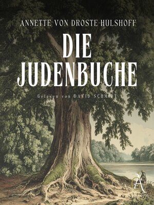 cover image of Die Judenbuche Hörbuch